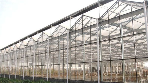 溫室大棚建設的規劃布局問題